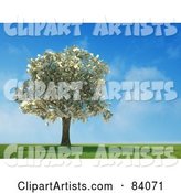 Money Tree Abundant with Cash in a Sunny Landscape