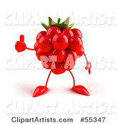 Red Raspberry Character Giving the Thumbs up - Version 1