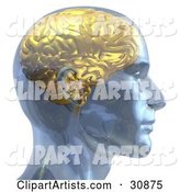 Rendered Man with a Golden Brain, in Profile