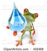 Springer Frog Holding a Water Droplet - 2