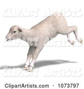 White Lamb Sheep Jumping 2