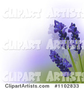Lavender Flowers over White Purple and Green Gradient