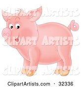 Adorable Pink Pig with a Curly Tail, Standing in Profile