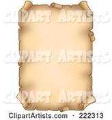 Blank Aged Vertical Parchment Paper
