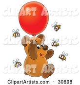 Cute Brown Bear Cub Floating up into the Air and Holding onto a Red Helium Party Balloon, Surrounded by Curious Honey Bees