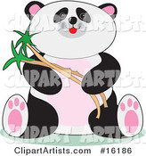 Cute Chubby Panda Sitting and Holding Bamboo Stalks