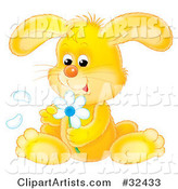 Cute Yellow Bunny Rabbit Sitting and Picking Petals off of a White Daisy Flower