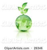 Green Seedling Plant Sprouting from a Green Earth over a Reflective White Surface