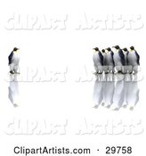 Group of Penguins Staring at an Individual One, Symbolizing Standing out from the Crowd