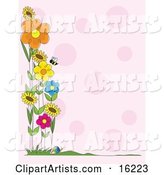Honey Bee Flying near a Patch of Colorful Spring Flowers Along the Border of a Pink Background