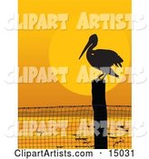 Lone Pelican Bird on a Coastal Fence Post, Silhouetted Against an Orange Sunset