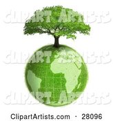 Lush Green Tree Growing on Top of the Green Earth with a Grassy Texture, over White