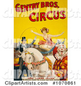 Miss Louise Hilton of the Gentry Bros Circus, Crouching on a White Horse