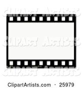 One Black and White Negative Photography Film Strip