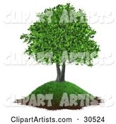Realistic Tree with Lush Green Leaves, Growing on a Grassy Hill with Dirt Along the Bottom