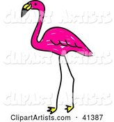 Sketched Pink Flamingo Standing