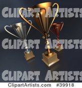 Tall Trophy Cups in Gold, Bronze and Silver