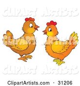 Two Chatty Chicken Hens Facing Each Other