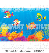 Underwater Scene of Colorful Tropical Fish and a Crab Socializing at a Coral Reef