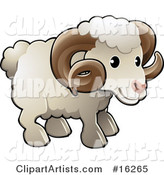 Adorable White Male Sheep, a Ram, with Brown Curly Horns