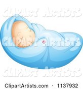 Baby Boy Swaddled in a Blanket