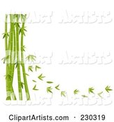 Bamboo Stalks and Leaves Background