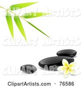 Bamboo Stem over Black Spa Stones and a Plumeria Flower