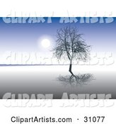 Bare Silhouetted Tree Reflecting on Still Waters, Against a Blue Sky Background