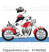 Biker Dog Riding a Motorcycle