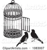 Black and White Birds by an Open Cage