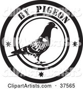Black and White by Pigeon Delivery Seal