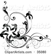 Black and White Corner Design with Leafy Vines and a Star or Starfish