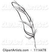 Black and White Feather Quill