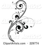 Black and White Flourish Design - 10