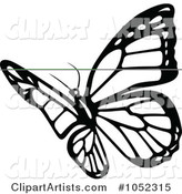 Black and White Flying Butterfly Logo - 8
