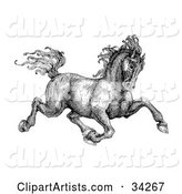Black and White Pen and Ink Drawing of a Muscular Victorian Horse Trotting to the Right