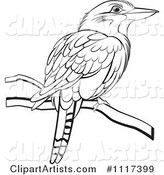 Black and White Perched Kookaburra Bird