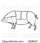 Black and White Pig with Butcher Sections of Meat Cuts