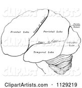 Black and White Retro Diagram of the Hemispheres of the Human Brain