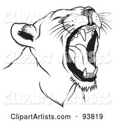 Black and White Roaring Female Lion Head - 1