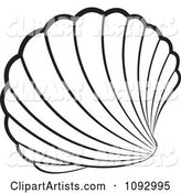 Black and White Scallop Sea Shell