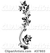 Black and White Tall Flowering Plant