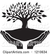 Black and White Tree and Uplifted Hands