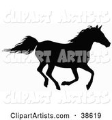 Black Silhouette of a Horse Galloping
