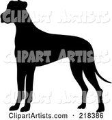 Black Silhouetted Great Dane Dog in Profile