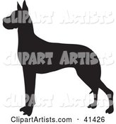 Black Silhouetted Great Dane Dog Profile