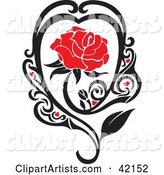 Blooming Red Rose in a Black Vine with Hearts