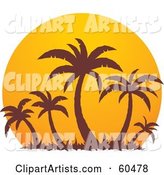 Brown Palm Trees Silhouetted Against a Large Orange at Sunset