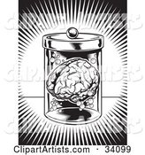 Burst of Bright Light Around a Human Brain Floating in a Jar in a Science Lab