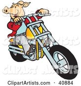 Carefree Hog Riding a Yellow Chopper